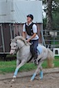 Moorkieker-Ponys im Sport / Moorkieker Ponies in the Sport