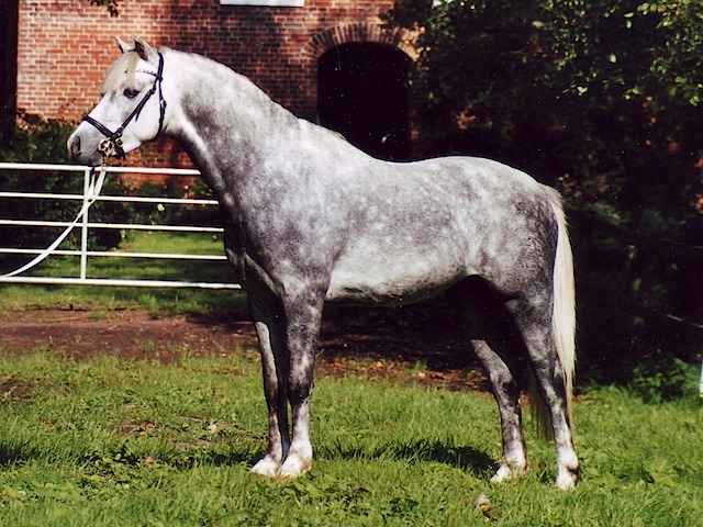 Gulliver 04 bearb