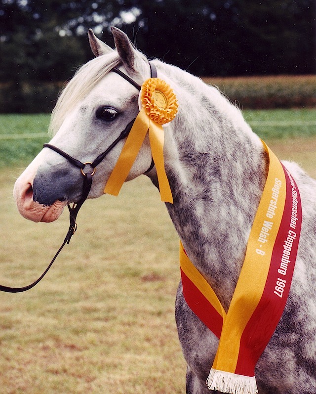 Holly 1997
