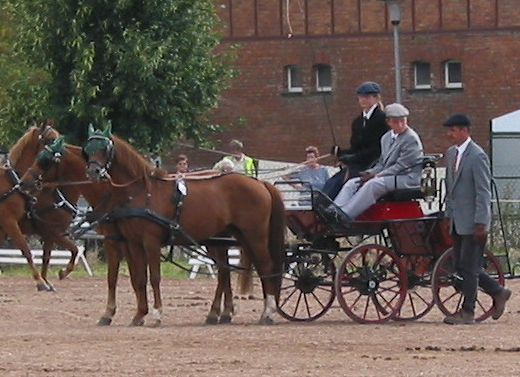 Tacitus 06 Kutsche