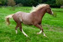 thumb_P1110124_1024