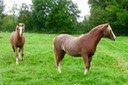 thumb_P1110135_1024