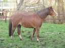 thumb_P1110329_1024