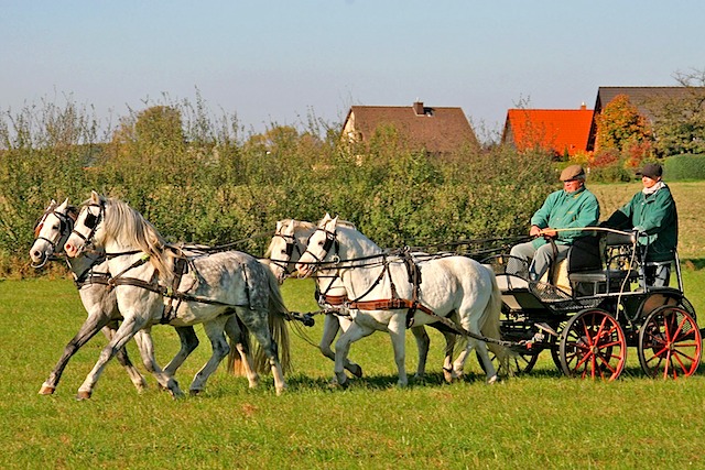 Wiemer Beim Einfahren[1]...6739