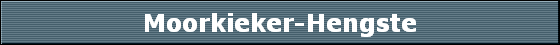 Moorkieker-Hengste