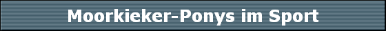 Moorkieker-Ponys im Sport