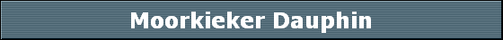 Moorkieker Dauphin