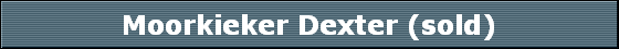 Moorkieker Dexter (sold)