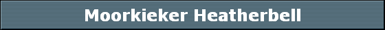 Moorkieker Heatherbell