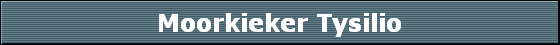 Moorkieker Tysilio