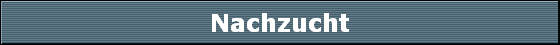 Nachzucht