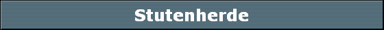 Stutenherde