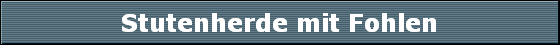 Stutenherde mit Fohlen